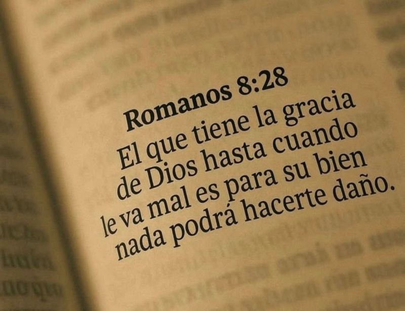 Mujer🇩🇴_RD tweet media