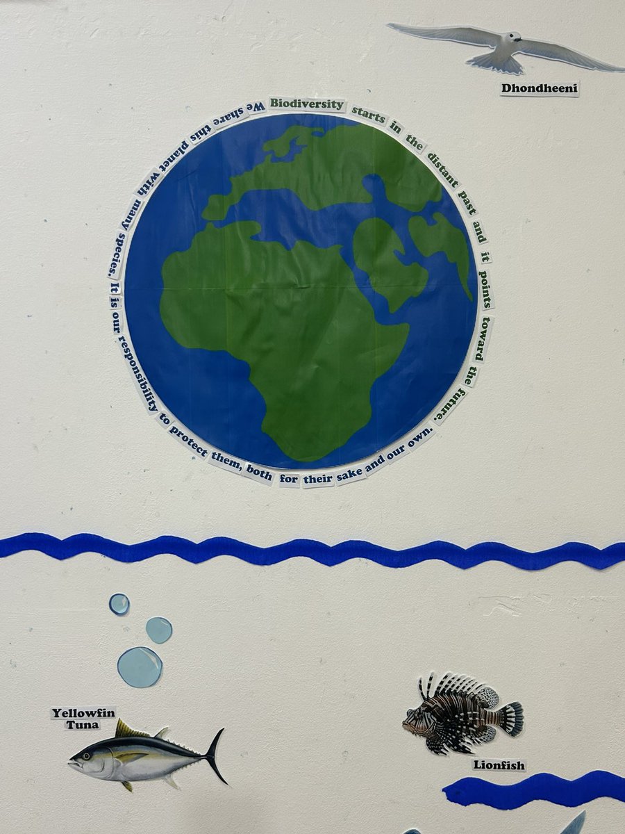 librarymv's tweet photo. Book display on International Biodiversity day 2026.📚
“Acting locally for global impact” 🌏
🌿Every small step we take in our communities contributes to a greater global change.🌿
#BiodiversityDay2026 #ActLocal https://t.co/pHnnTlpuT8