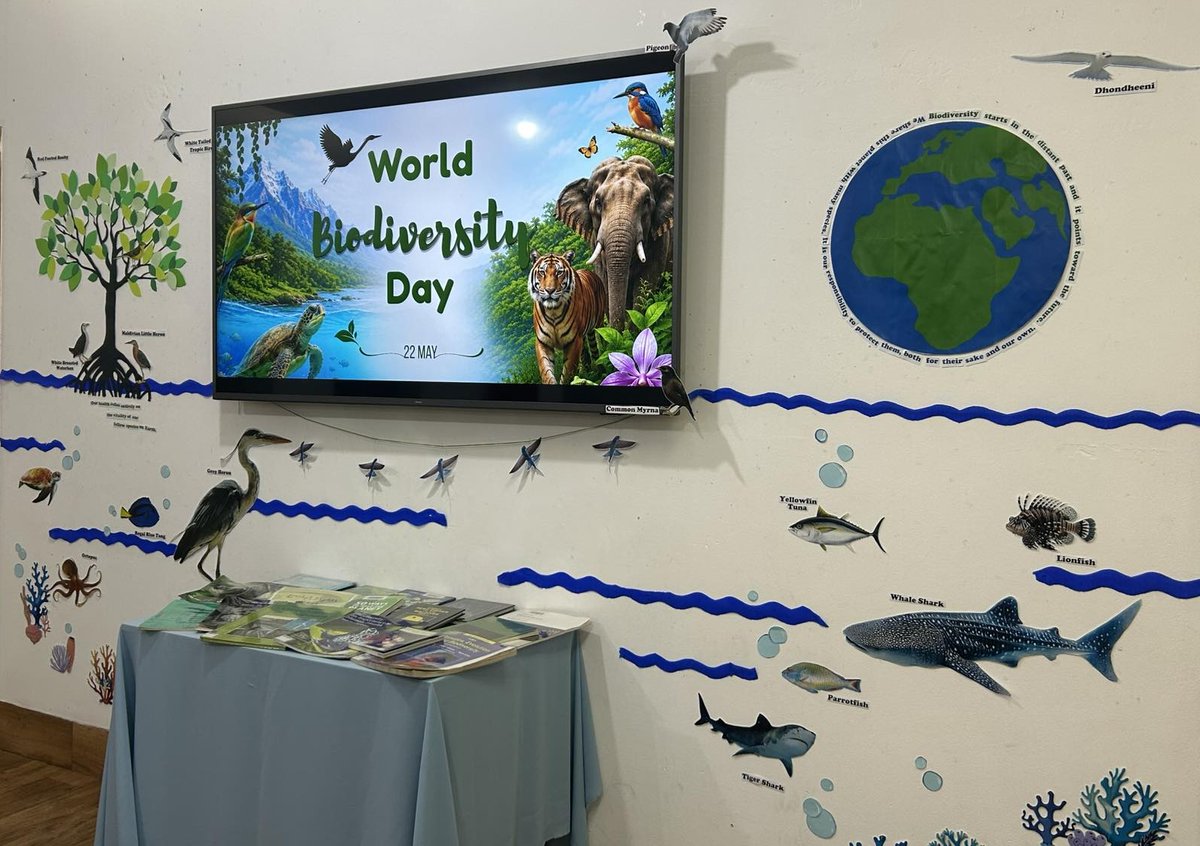 librarymv's tweet photo. Book display on International Biodiversity day 2026.📚
“Acting locally for global impact” 🌏
🌿Every small step we take in our communities contributes to a greater global change.🌿
#BiodiversityDay2026 #ActLocal https://t.co/pHnnTlpuT8