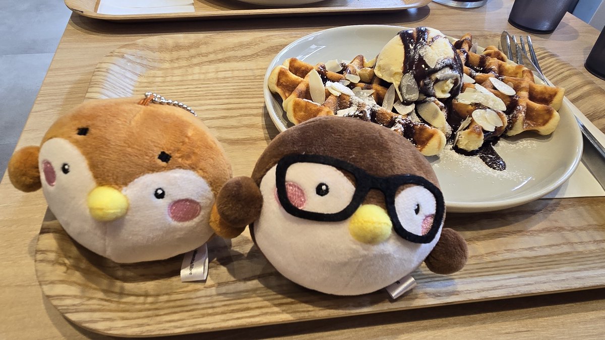 krg_666's tweet photo. そして初めてのぬい活、、、
誰かぬいの上手な撮り方が教えてください https://t.co/wlDElqTrOU