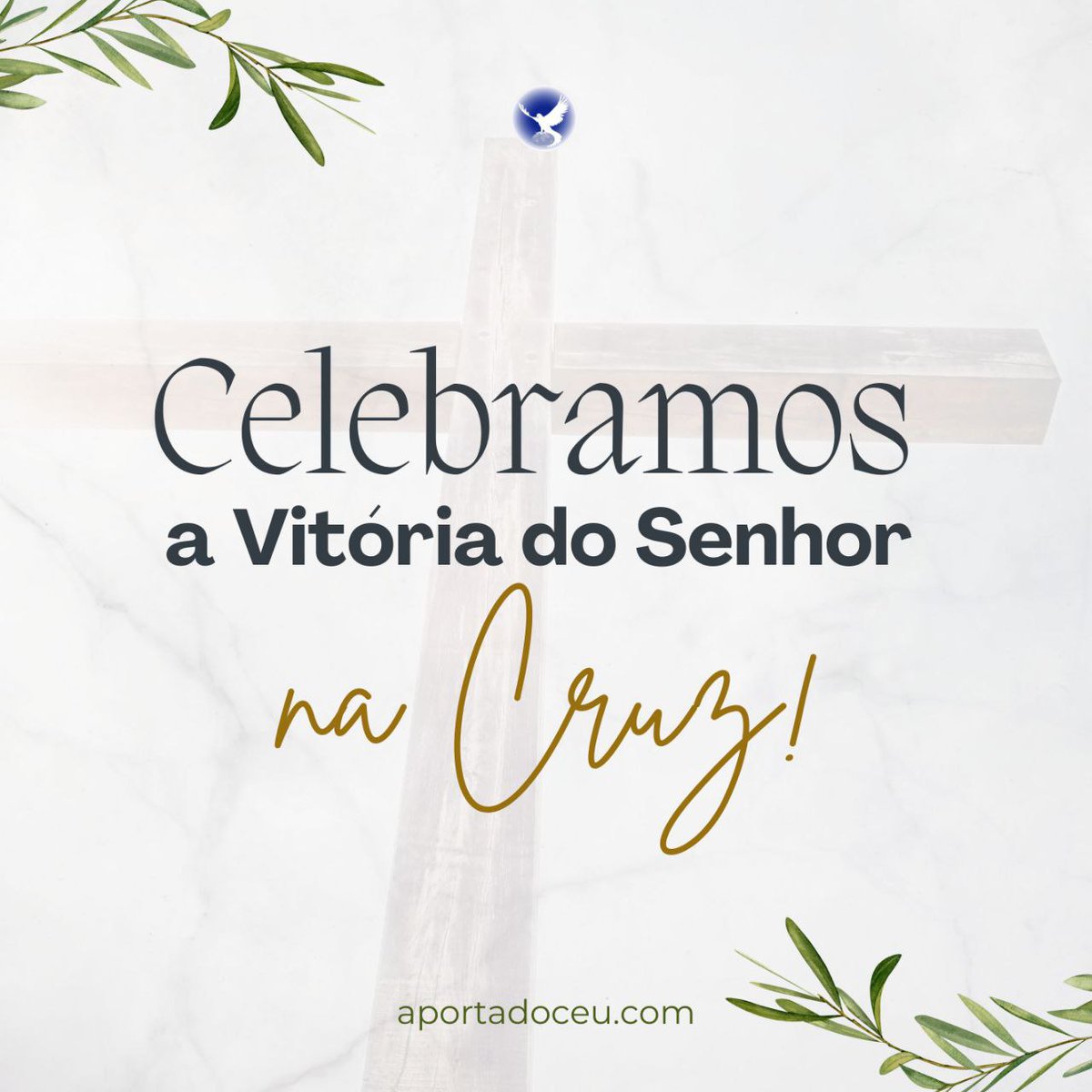 A M A N D A - SDV 🇧🇷 tweet media