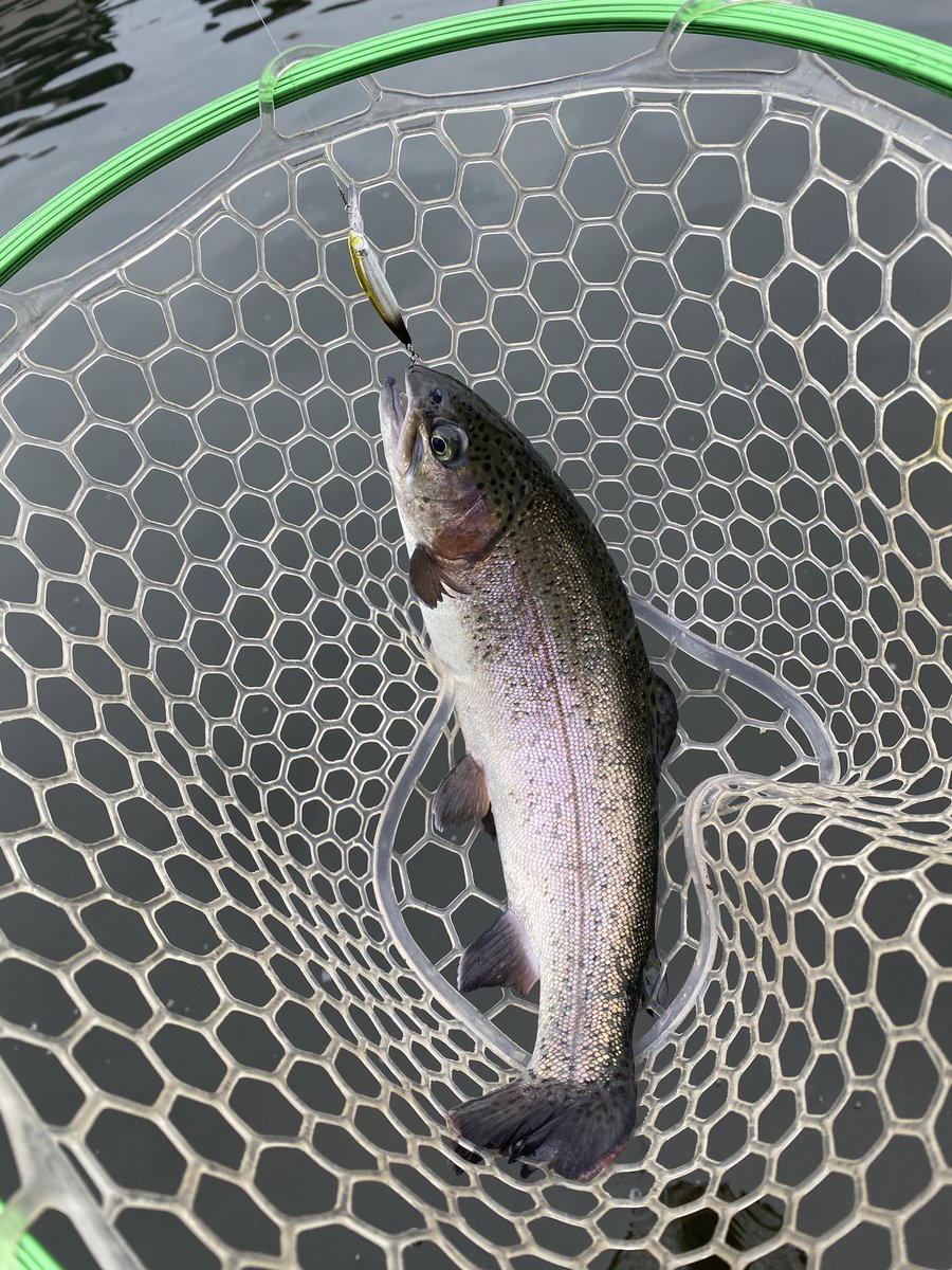 源悟朗🤖🎣 tweet media