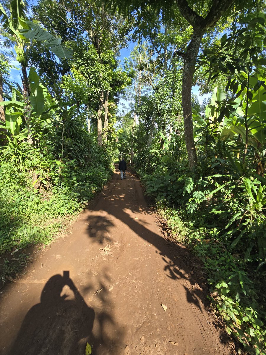 baharia_msomi's tweet photo. Marangu 
#marangu https://t.co/scQ7hnfBtv