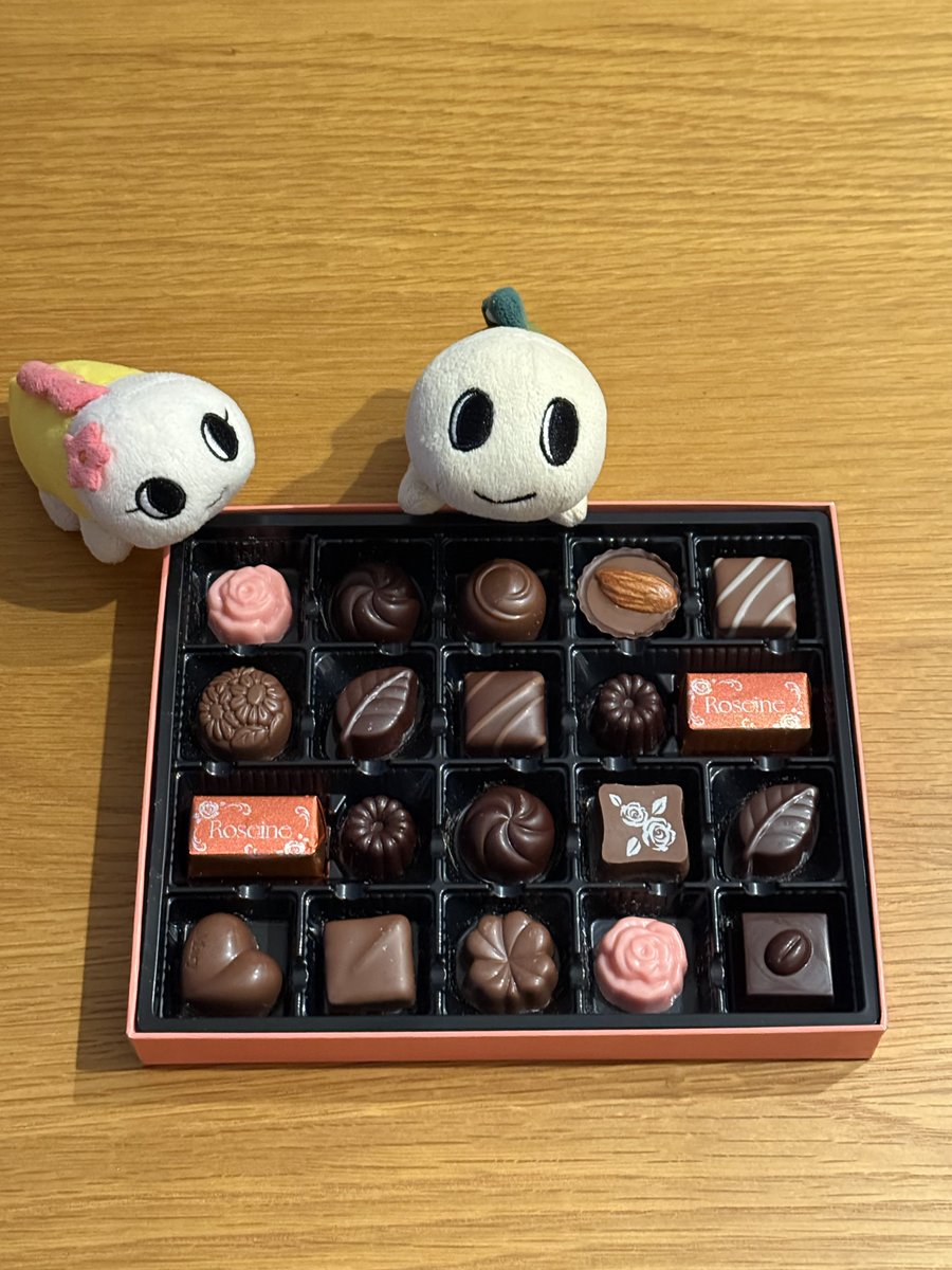 乳酸菌 tweet media