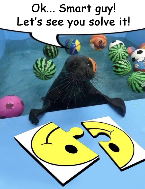 SealDev tweet media