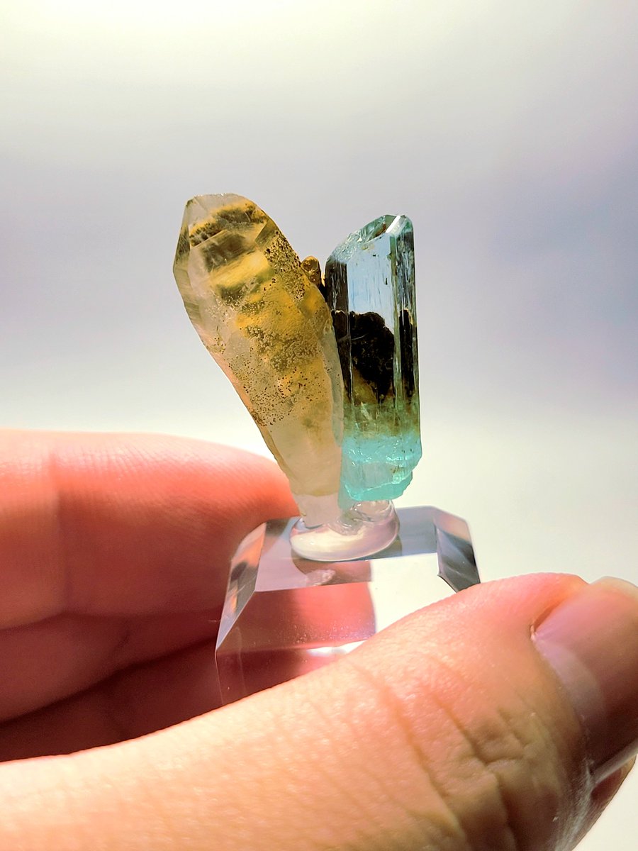 KleCru's tweet photo. Green Beryl with Quartz/Nasarawa, Nigeria
✌のバランス完璧ぃ！
ベリル自体は宝石質でぴかぴか。水晶側もクリアでしっかりしている。同じロットのは沢山あったけど、これがベストピースだね～
まあまあお安め。良き買い物をした…
#東京国際ミネラルフェア
#新宿ショー https://t.co/fzwd0X0BOZ