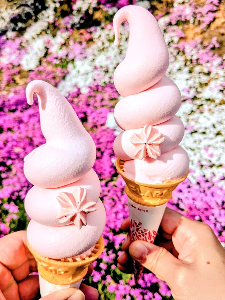 🌸🌸🌸東藻琴芝桜公園🌸🌸🌸 芝桜のソフトクリーム🍦 お天気も良く絶好