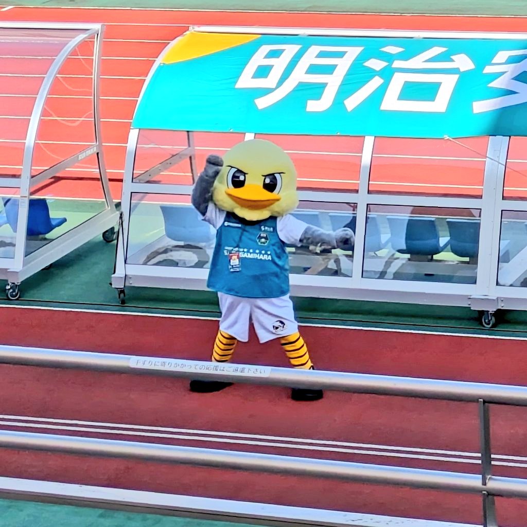 わいボズ(wiboz) tweet media
