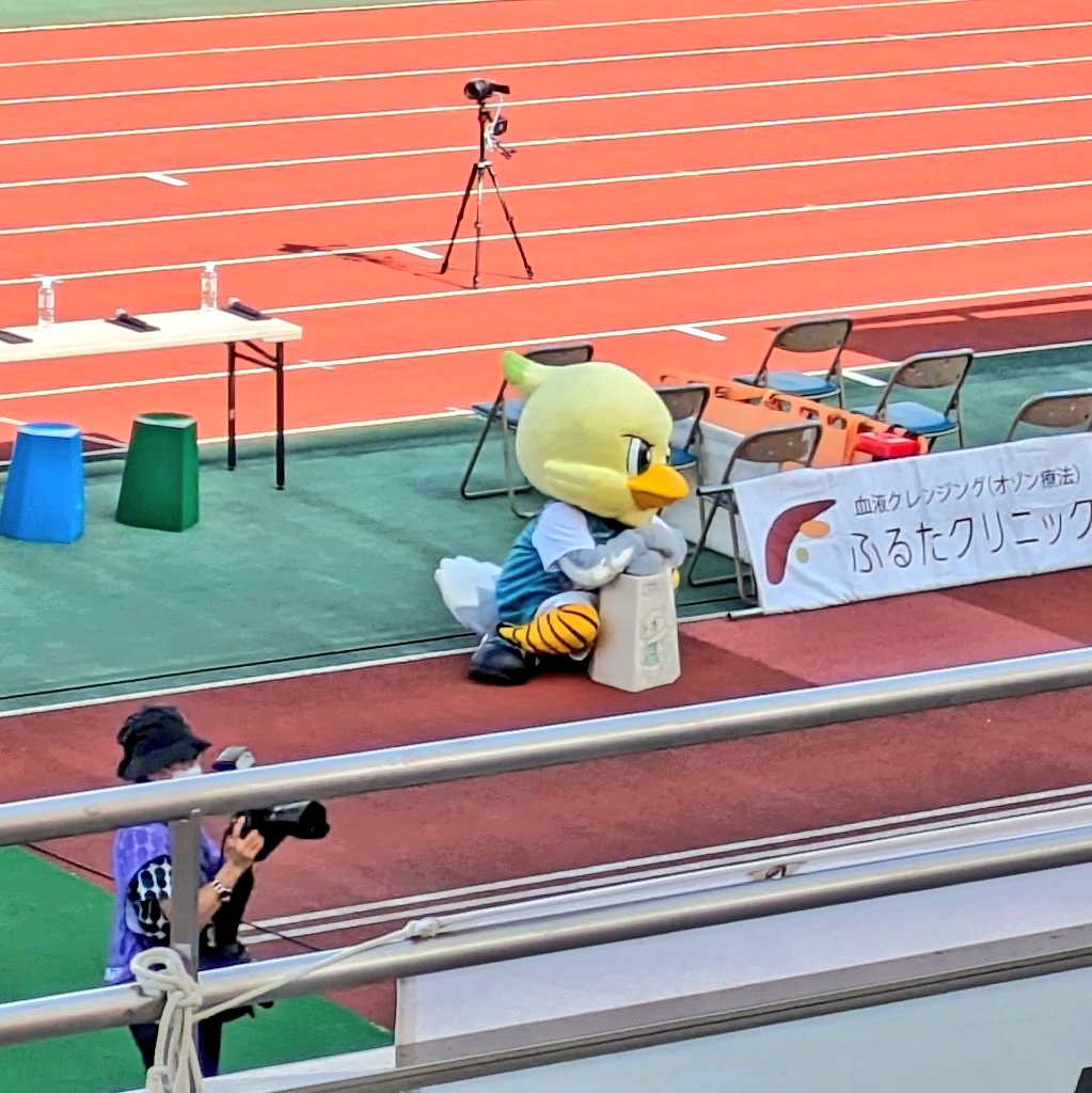 わいボズ(wiboz) tweet media