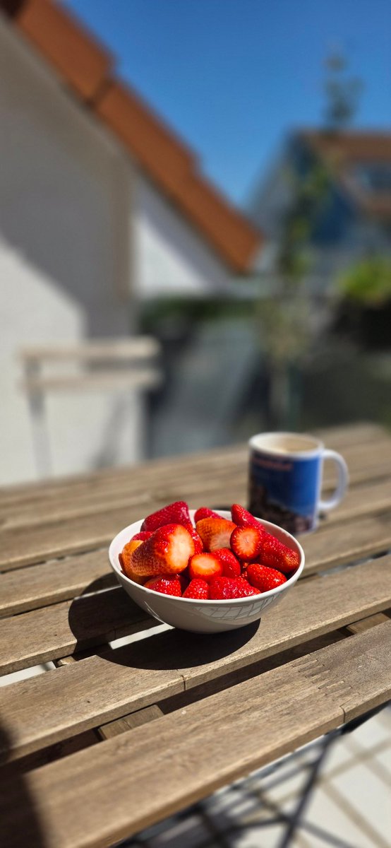 Ragmo_72's tweet photo. Wenn man wegen einer Verletzung nicht laufen kann, sollte die Krankenkasse eigentlich auch die Erdbeeren bezahlen oder?  Schließlich sind das dann medizinisch notwendige Erdbeeren. Ich beantrage ein Rezept für mindestens 2 kg täglich 🍓😄🥰 https://t.co/3F8U66Y5lx