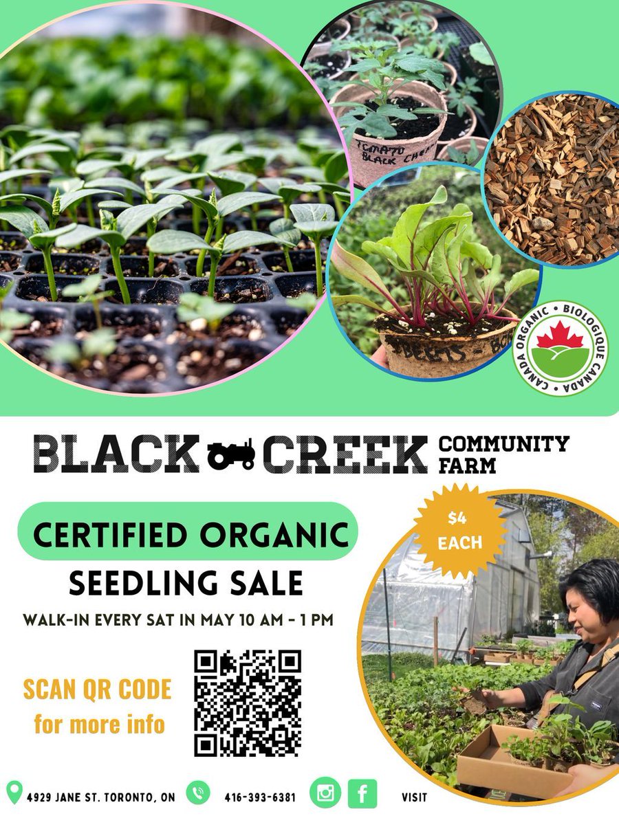 BCCFarm's tweet photo. Our Certified Organic Plant Sale is happening TODAY ⏰ 10 am - 1 pm. At $4 a pot you don't want to miss out! Stop by and shop vegetable plants, fresh herbs and seasonal flowers at Black Creek Community Farm | 4929 Jane St., York https://t.co/0mOPhUf5lY