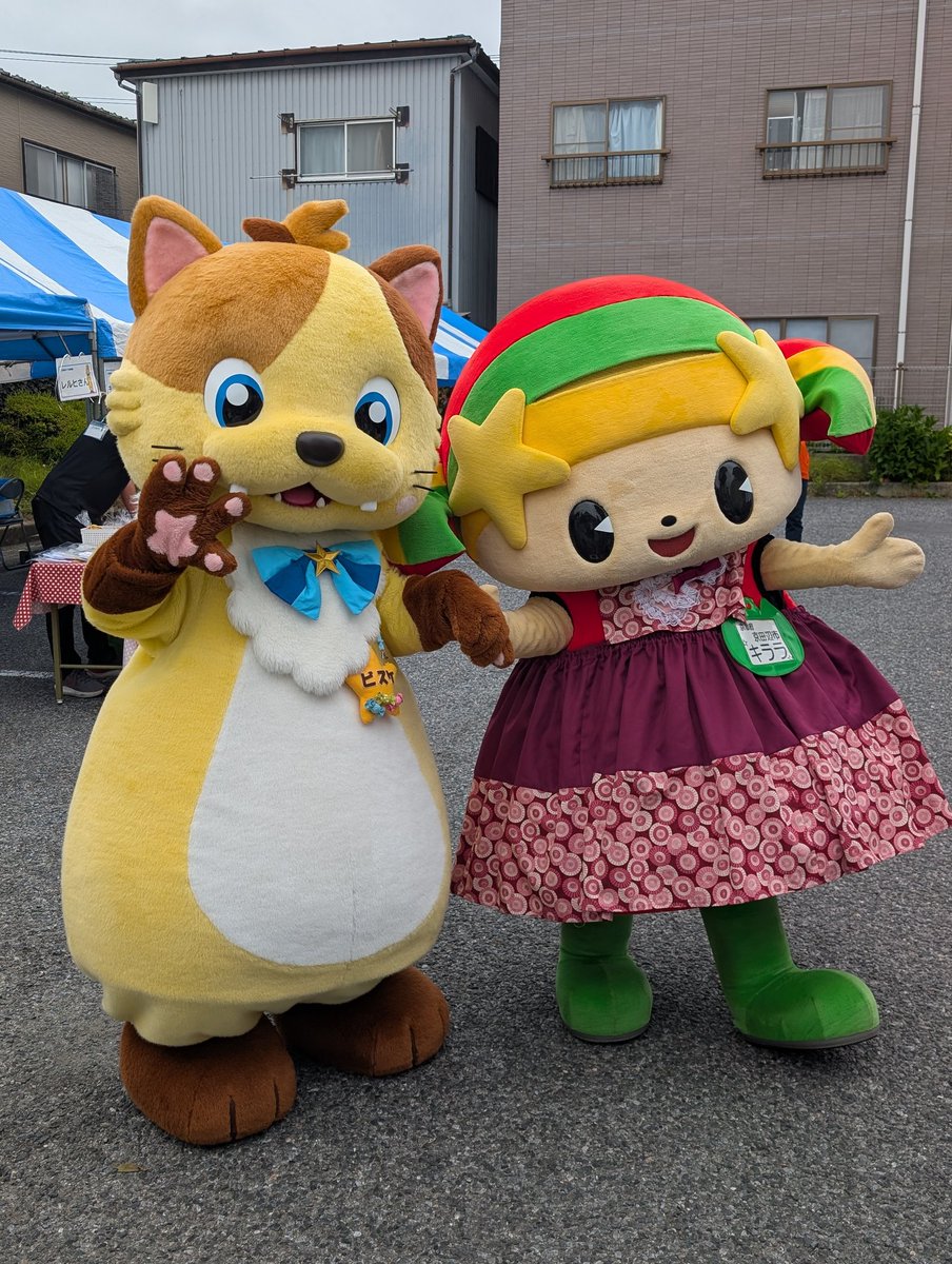 わらび🐭 tweet media