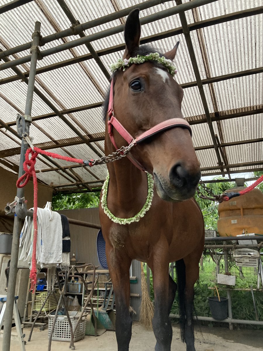 にまるる🐴使用済み蹄鉄リメイク作家 tweet media