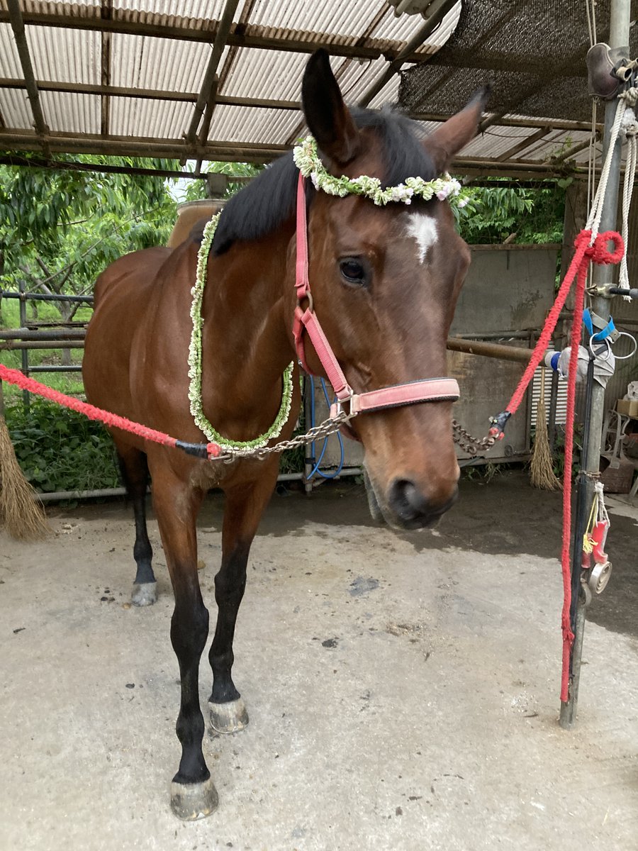 にまるる🐴使用済み蹄鉄リメイク作家 tweet media