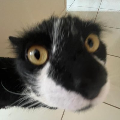 gigiutopia's tweet photo. #NovaFotoDePerfil 👀 https://t.co/SUF1Ertd72