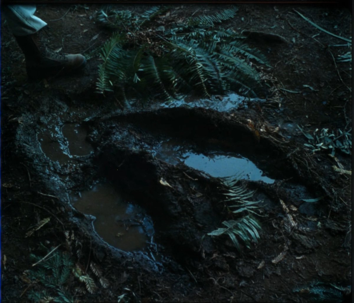 Jurassic Outpost tweet media
