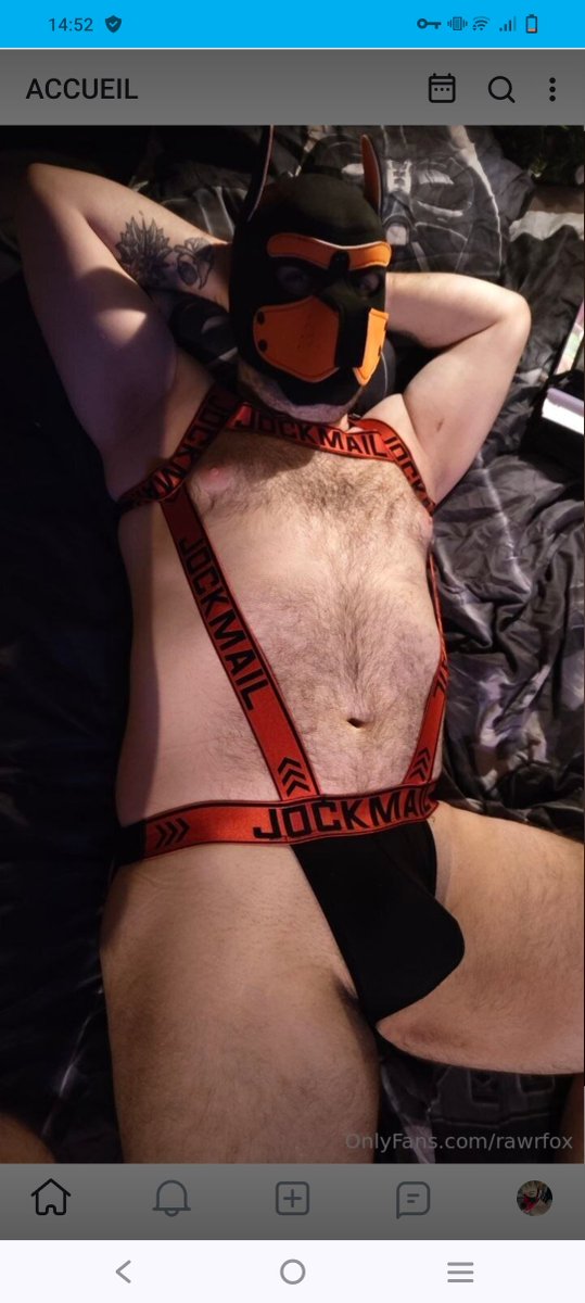 FoxxSqueezie's tweet photo. New post onlyfans 
Good boy pup fox, come check it out and subscribe if you like it 

https://t.co/pTXbav180B

#of #onlyfan #furry #pup #puppy https://t.co/6xBzSmpDQO
