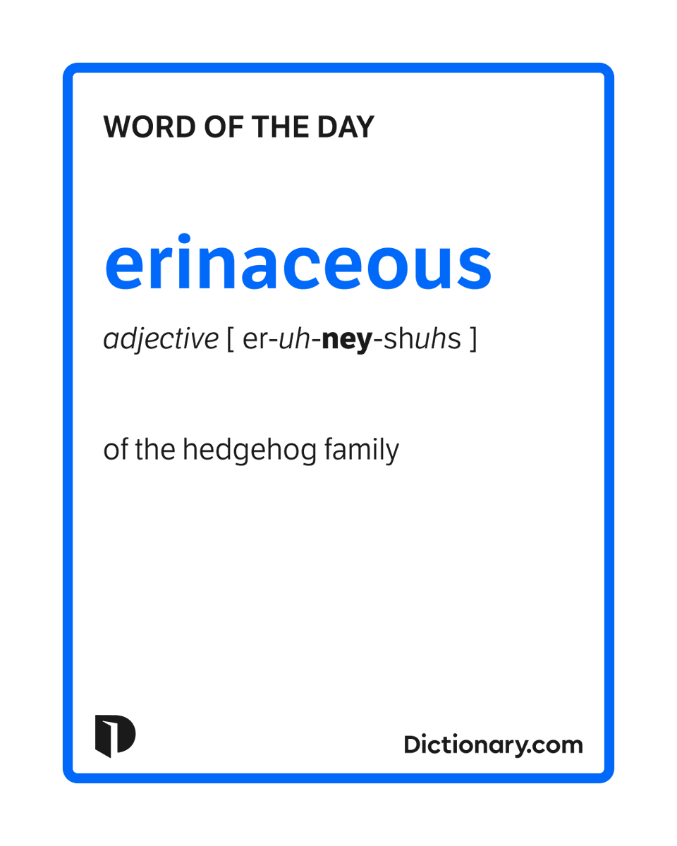 Dictionary.com tweet media
