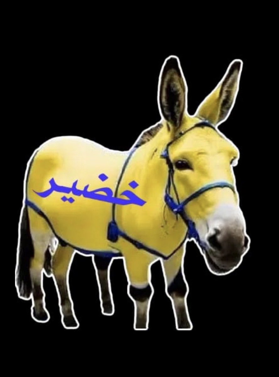 ApooooRالنخبوية💚💚💚💚 tweet media