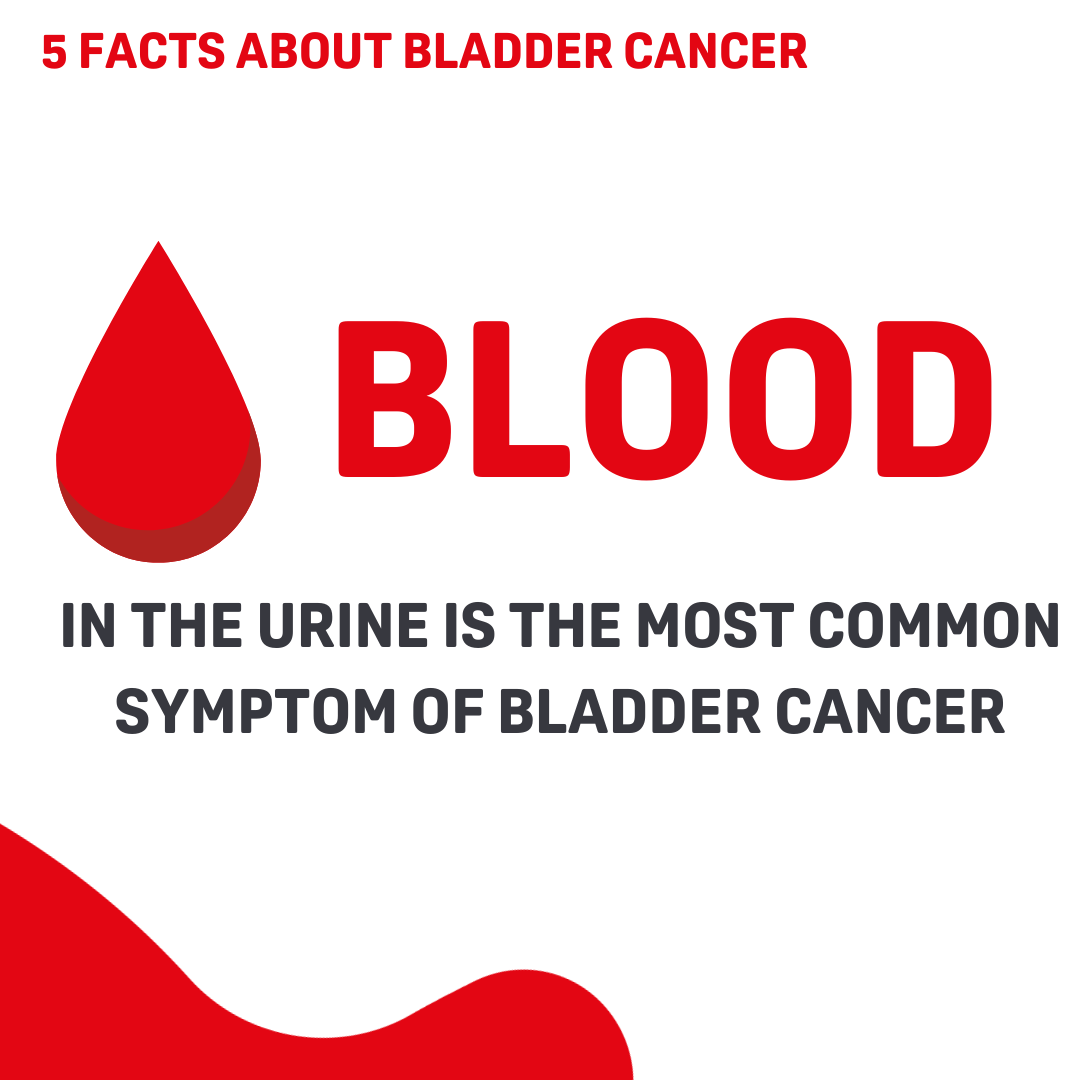 World Bladder Cancer Patient Coalition tweet media