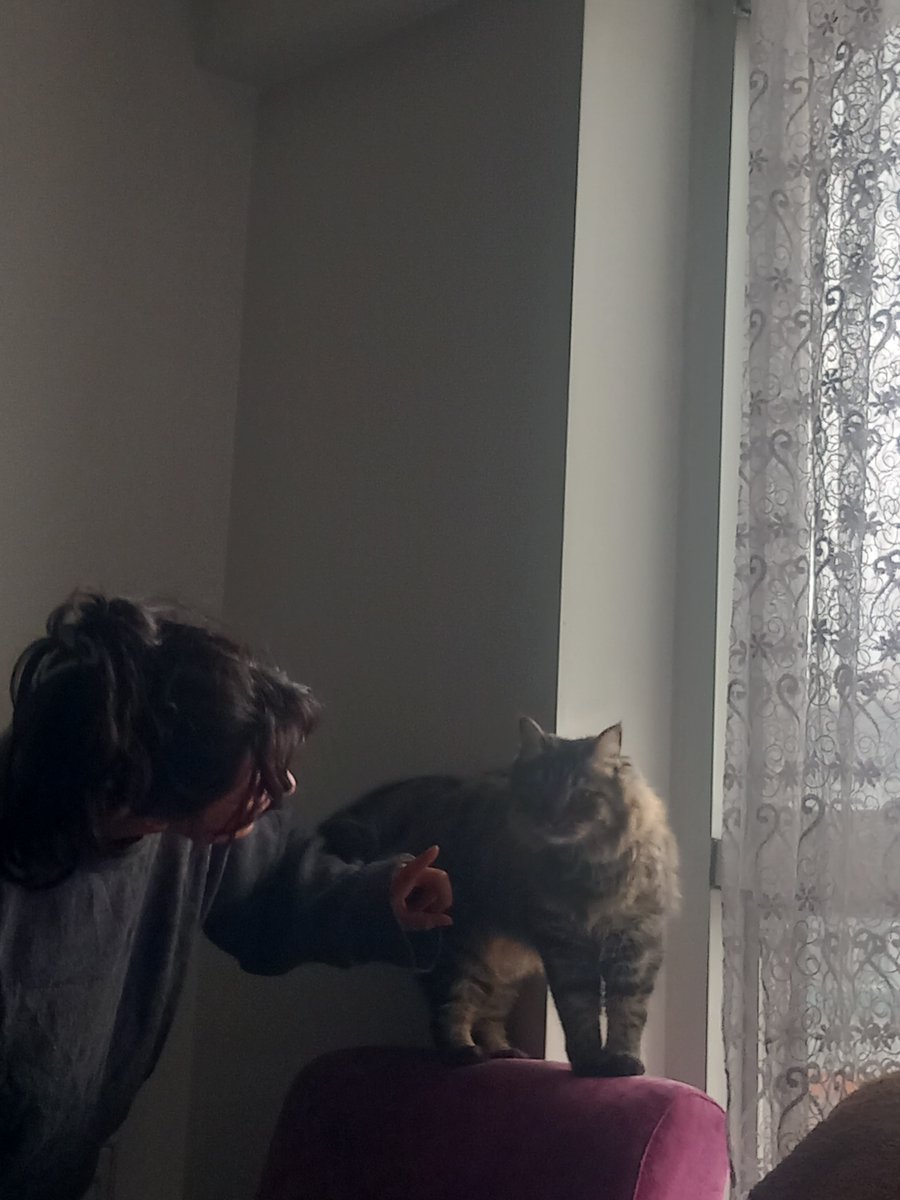 Azizezcan10's tweet photo. Köye benimle geleceğini öğrendi gergin https://t.co/mmdkWawZFc