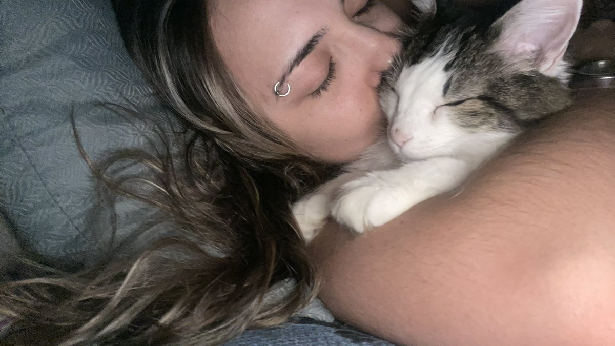 mglaedra's tweet photo. eu tinha uma gatinha muito doente que teve que ser deixada no vet. A veterinária disse que tinha uma gata que encontraram muito assustada por tentativa de envenenamento. Quando eu a vi soube que era minha. Isso foi 16 anos atras 💚 https://t.co/v1H5G4C063