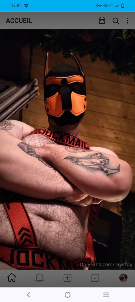 FoxxSqueezie's tweet photo. New post onlyfans 
Good boy pup fox, come check it out and subscribe if you like it 

https://t.co/pTXbav180B

#of #onlyfan #furry #pup #puppy https://t.co/yilKmIwhFp