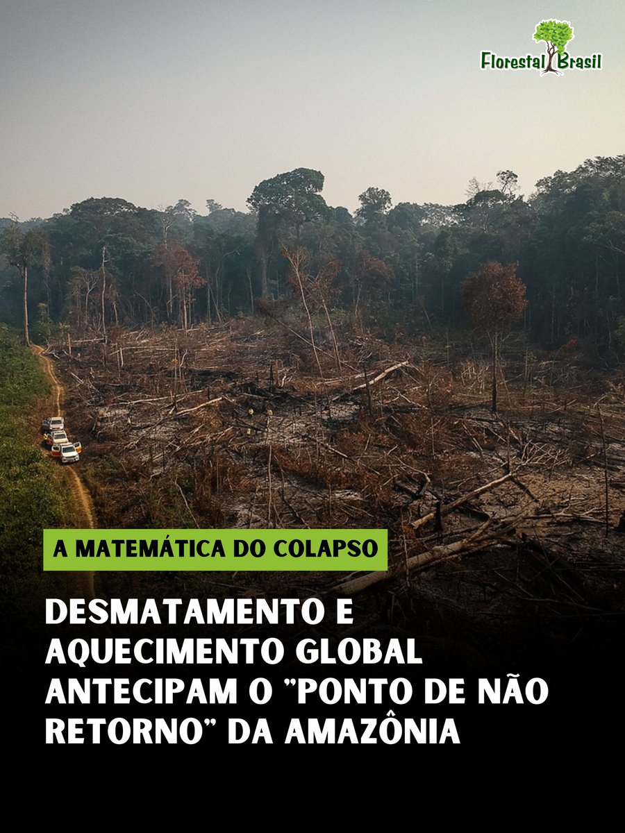 Florestal Brasil 🌳 tweet media