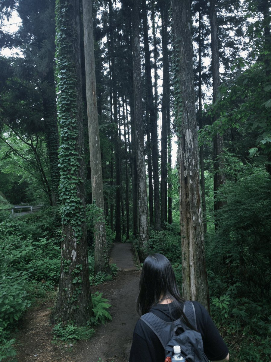 redend110's tweet photo. 马笼宿徒步到妻笼宿，一共3个半小时。 https://t.co/GK2IwAmumR