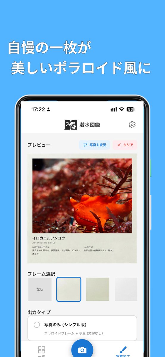 Divehub_web's tweet photo. ダイビングの記憶を、ポラロイドに残そう

水中で出会った生き物を記録して、
自分だけの海中図鑑をつくるアプリ。

🤿 潜水図鑑 ｜ダイバーのための記録アプリ
▶ 無料ダウンロード
https://t.co/lBELqcCQGV 

#ダイビング #水中写真 #スキューバダイビング https://t.co/nLdkukPG26