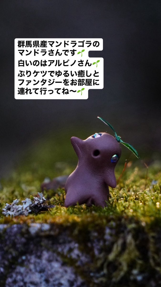 danielkanema's tweet photo. #デザフェス63
明日はちょっと配置を変える予定です🌱
ちょっと照明が足りなかったかなぁ🤔
明日はもうちょい見やすいブースになる予定です٩( 'ω' )و
暗いエリアK-233 https://t.co/ajK4qMOOx0