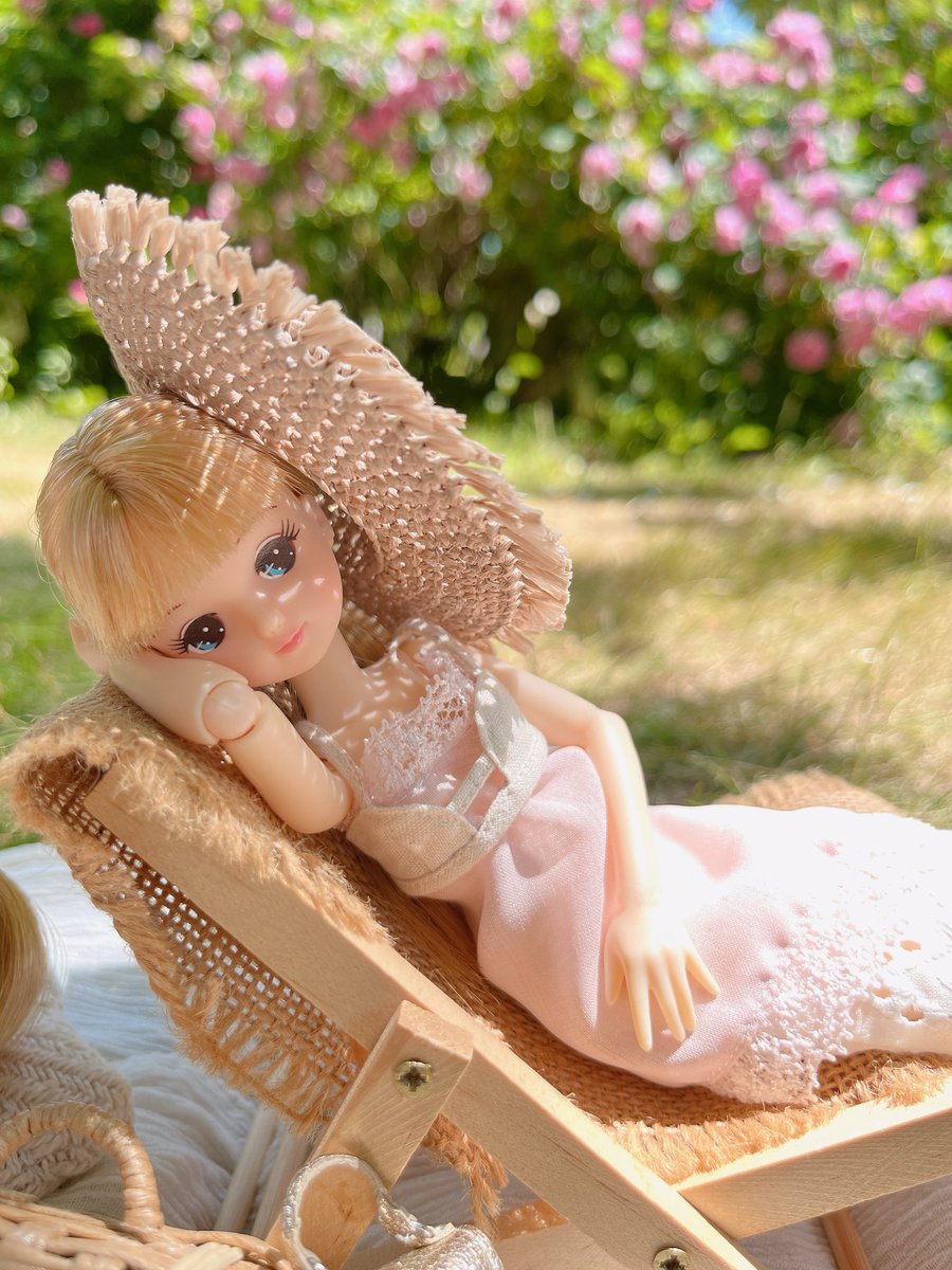 MioLicca's tweet photo. 南仏みたいな陽だまりの中のナチュラルなローズガーデン。
まさか千葉にあるとは思えないですよね https://t.co/k62DRqgr4Z