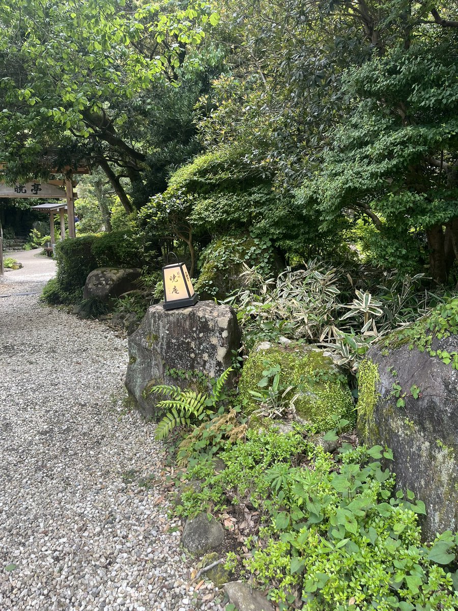 hawatari4cm's tweet photo. https://t.co/lHaqwAJxIy