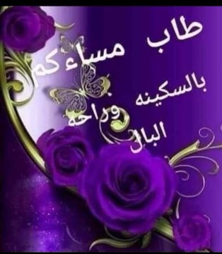 mohamed salam tweet media