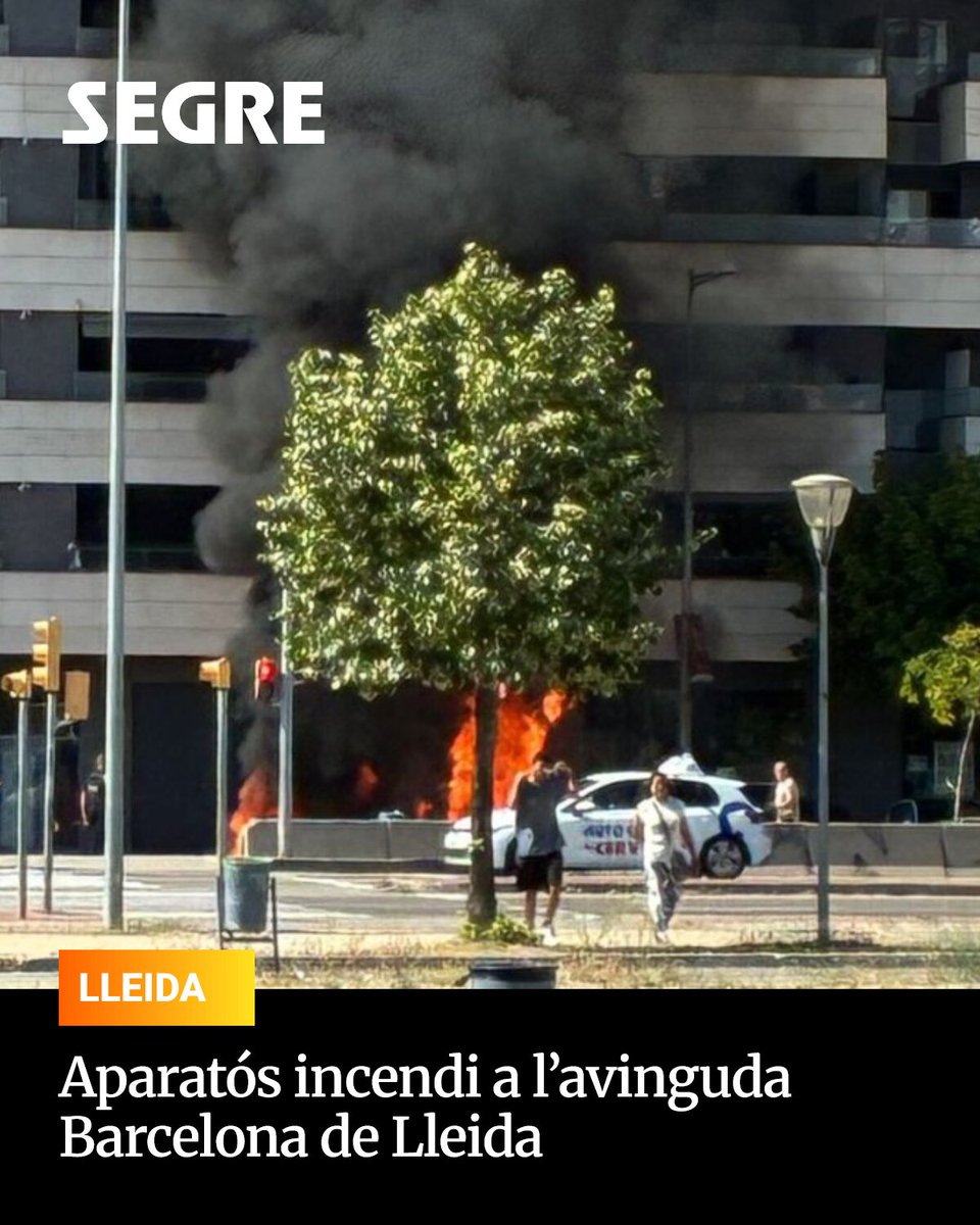 SEGRE tweet media