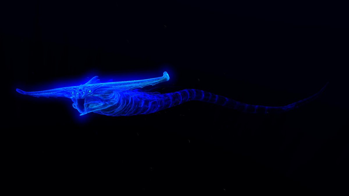 Ghost Leviathan tweet media