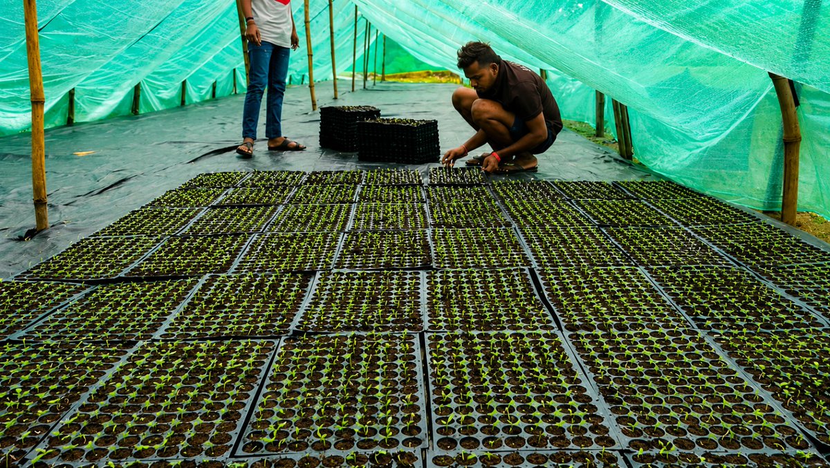 Agriculture INDIA tweet media