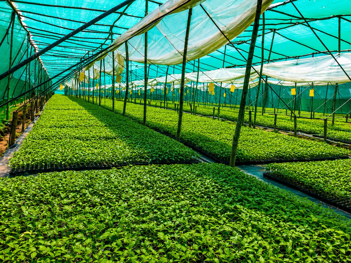 Agriculture INDIA tweet media