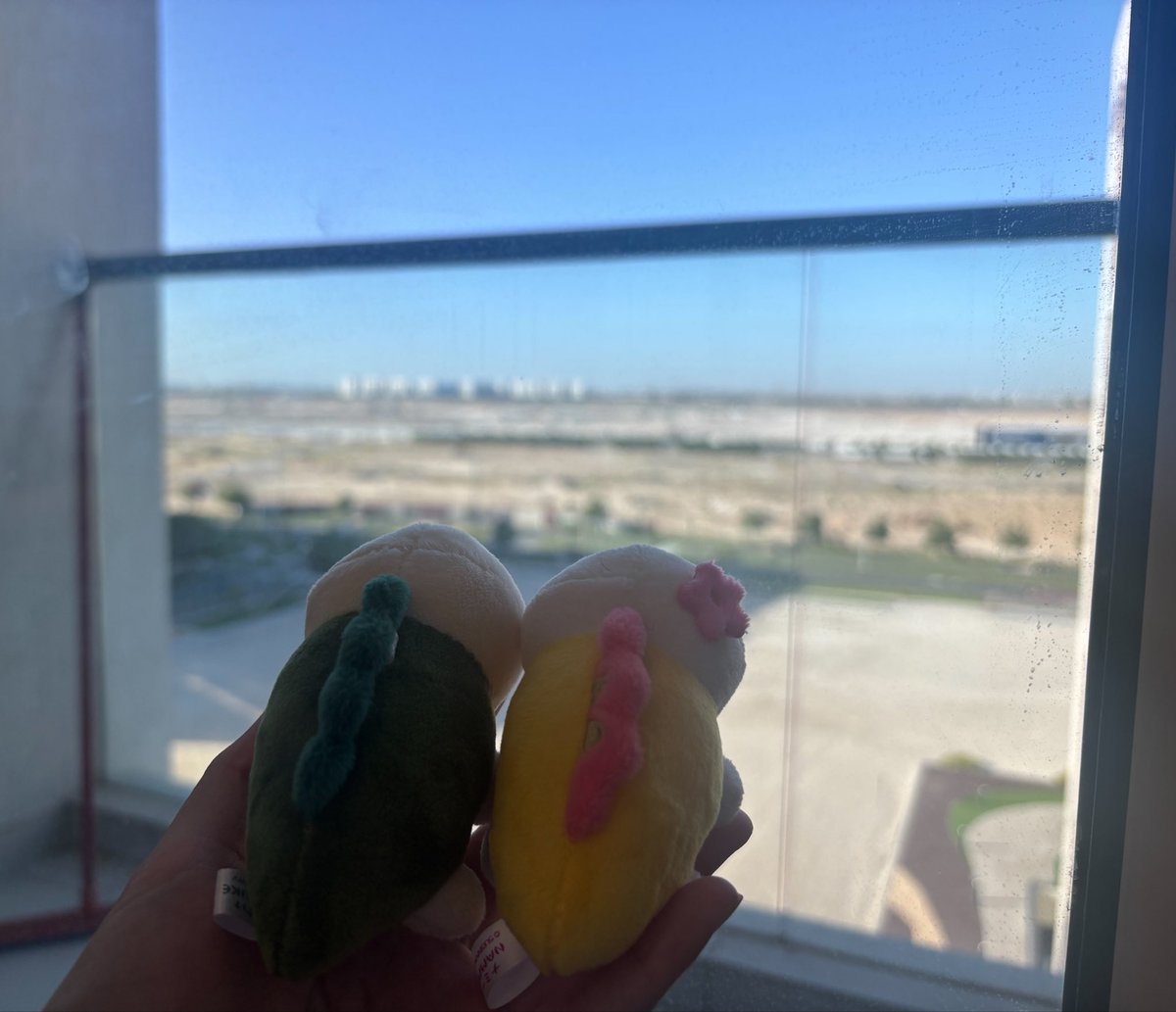 アラブ在住なみすけ🇦🇪 tweet media