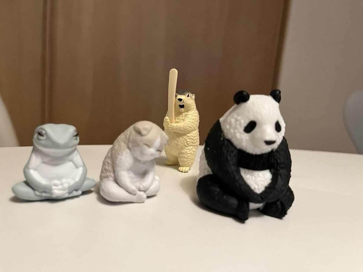 マーモット中毒 tweet media