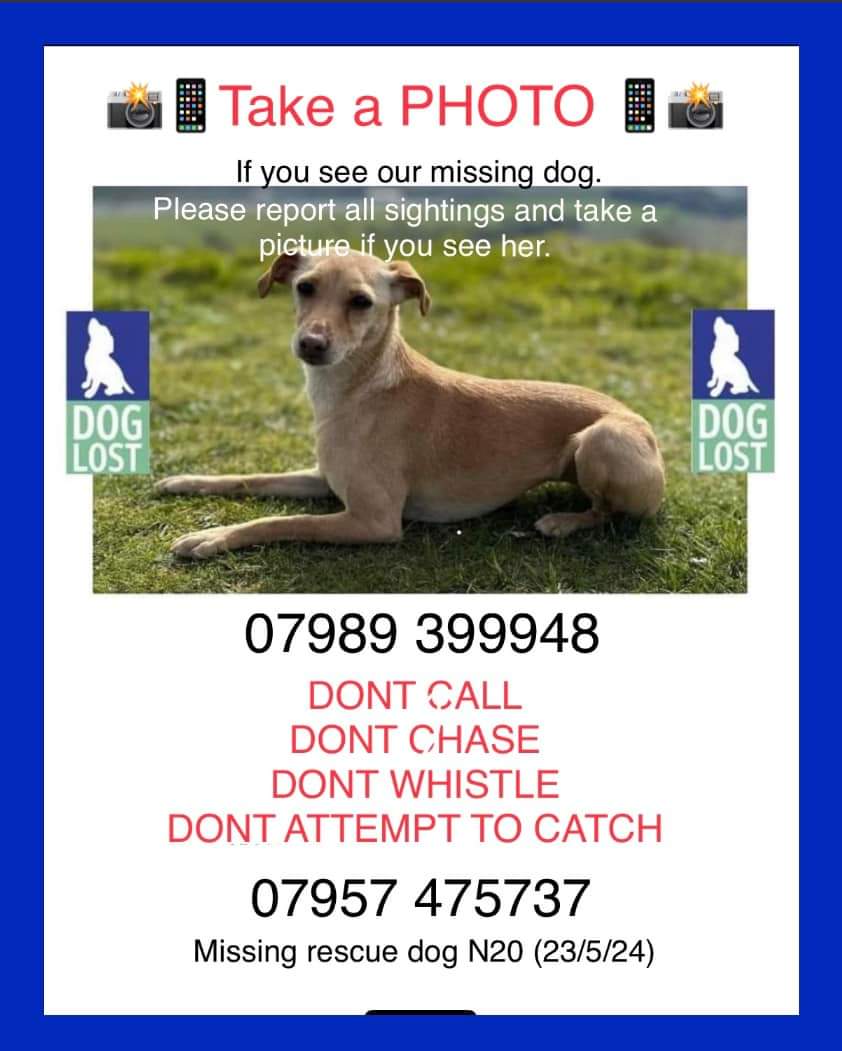 Missing Pets GB tweet media