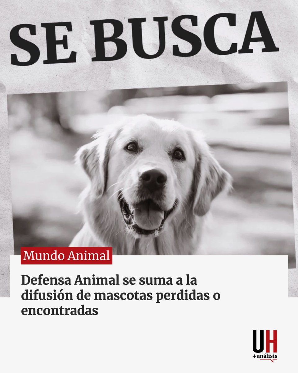 Última Hora tweet media