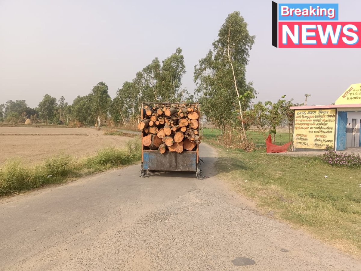 journalist02345's tweet photo. @CMOfficeUP @UPGovt @upfcup @UpfcForest @UpforestUp @upforest586418 #पीलीभीत 
अमरिया क्षेत्र में रोजाना अवैध कटान की लकड़ी गाड़ियों में भरकर अमरिया कस्बे में आती है।
उत्तराखंड सितारगंज बॉर्डर क्षेत्र के अमरिया क्षेत्र में होता है अवैध कटान।
विभागीय मिलीभगत से होता है अवैध कटान https://t.co/UXIIrU3c5S