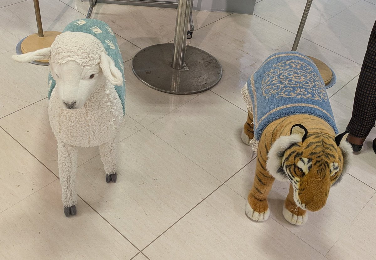 k_79SA's tweet photo. 羊の椅子買おうと思っても在庫どこにもない。上のカーペット置くように置いてあるだけだけど、売ってくれないかな https://t.co/FnLZiRJMZN