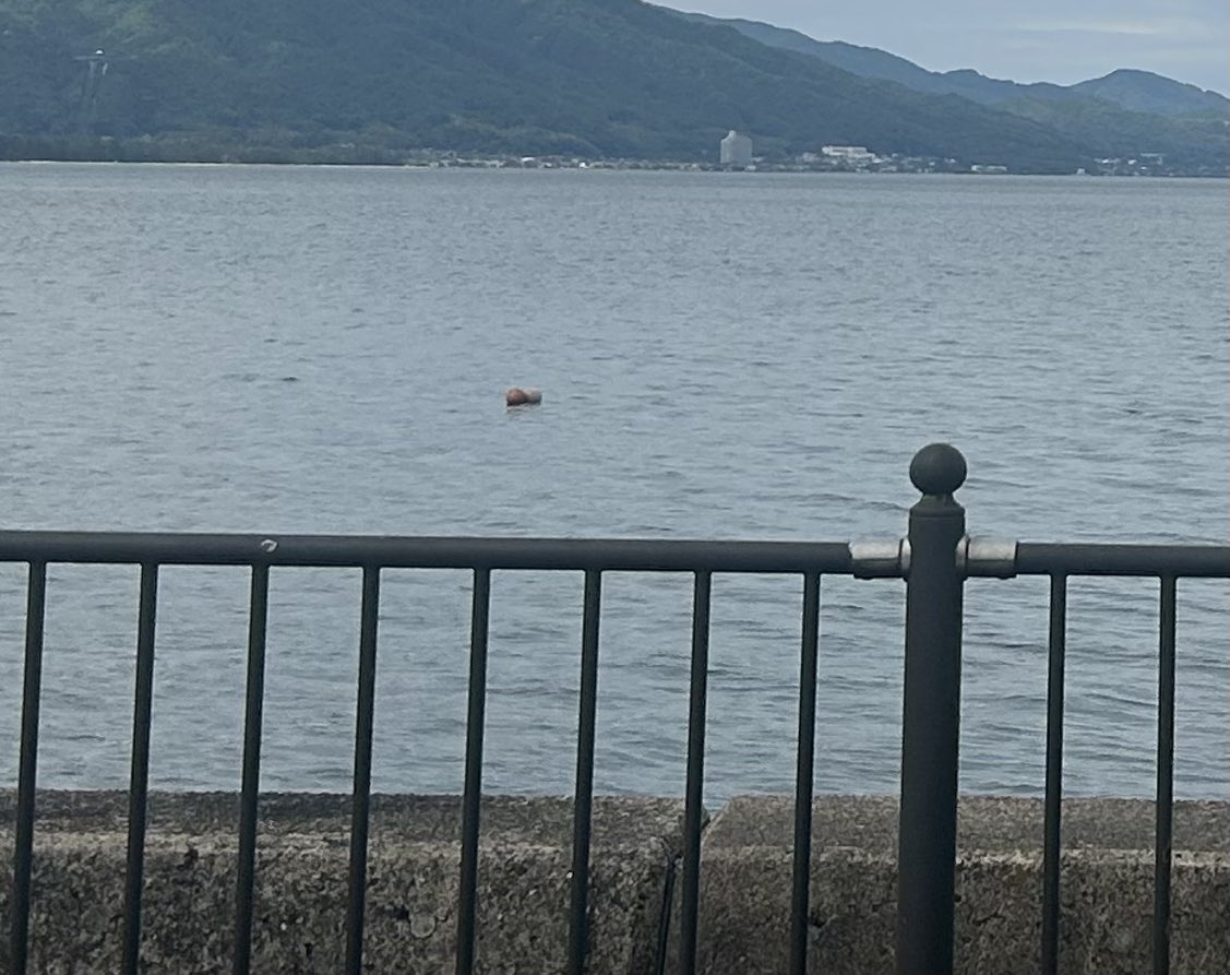 hocchiro's tweet photo. 今日は泊まりで出張😊
海の近くの町に来てます

僕が住む市には海がないので海に来るとなんかうれしくなります

ランチに海鮮でもと思ったのですが時間に余裕がなく結局地元でも食べられるマクドナルドでビッグマックを食べました🍔

明日は絶対に海の幸を食べてやると野心を抱いております😁 https://t.co/1t4WSFntsg