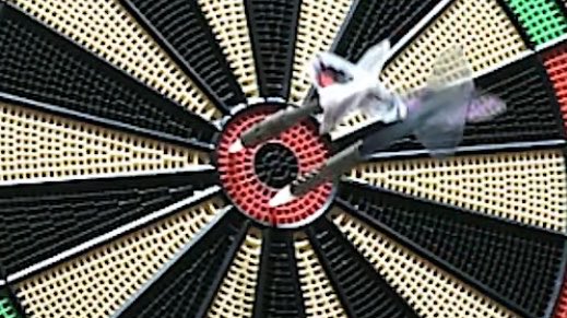 pm_darts2's tweet photo. ルール上は審判の確認前にダーツを抜いた場合は相手が申告したら先攻後攻入れ替えてやり直しなんだけど、なんか色々混乱してヒューゴがそれっぽい場所に刺し直したのも笑ったけどそのままアゲイン投げようとしたのも笑った😂（結局やり直しになりました） https://t.co/WgLem8irAy