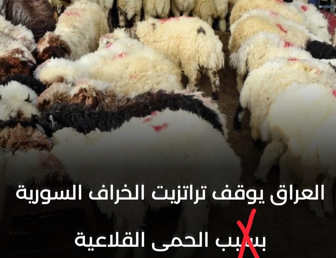 مُضَر | Modar tweet media