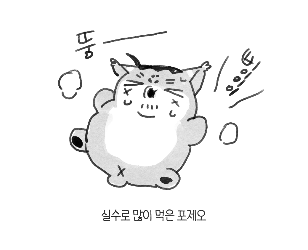 횽 tweet media