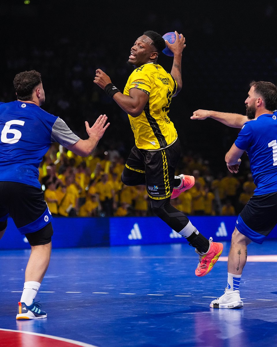 FFHandball tweet media
