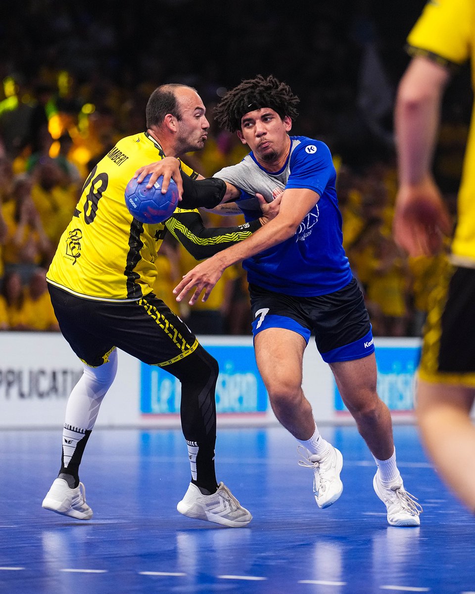 FFHandball tweet media
